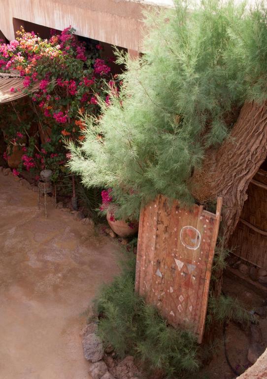 Auberge L'Oasis Foum Zguid Bagian luar foto